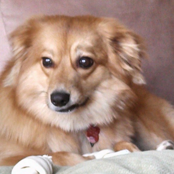 Meet your Posher, Kimberly - Picture 1 of 1